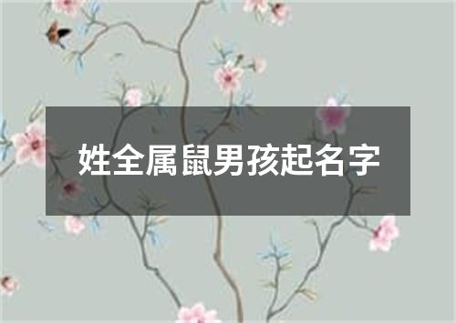 姓全属鼠男孩起名字