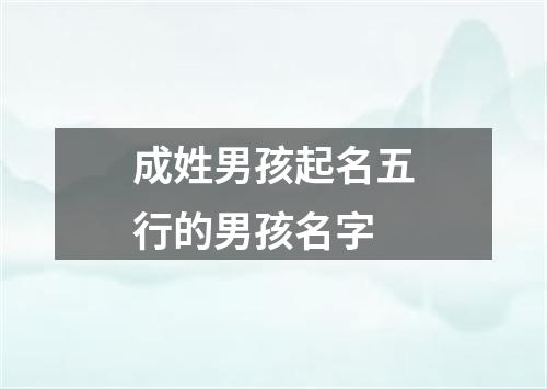 成姓男孩起名五行的男孩名字