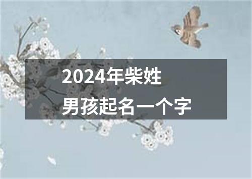 2024年柴姓男孩起名一个字