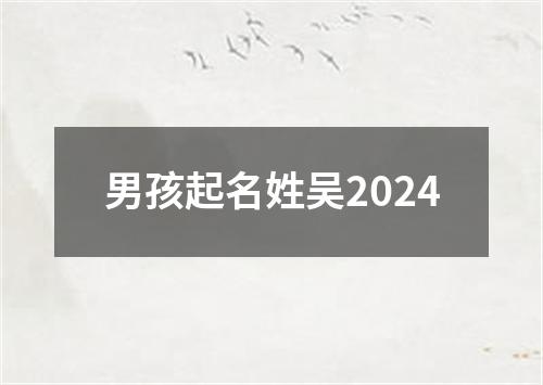 男孩起名姓吴2024