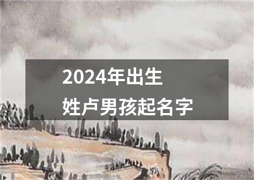 2024年出生姓卢男孩起名字