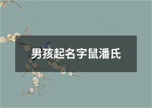 男孩起名字鼠潘氏