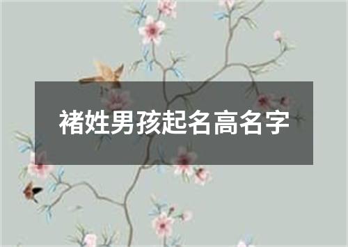 褚姓男孩起名高名字