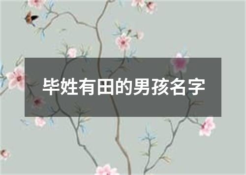 毕姓有田的男孩名字