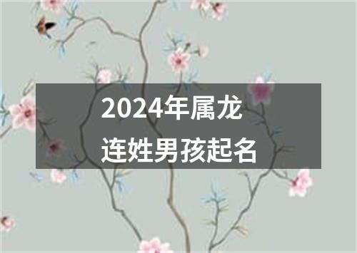 2024年属龙连姓男孩起名