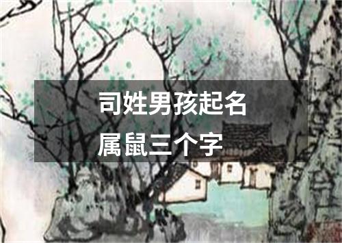 司姓男孩起名属鼠三个字