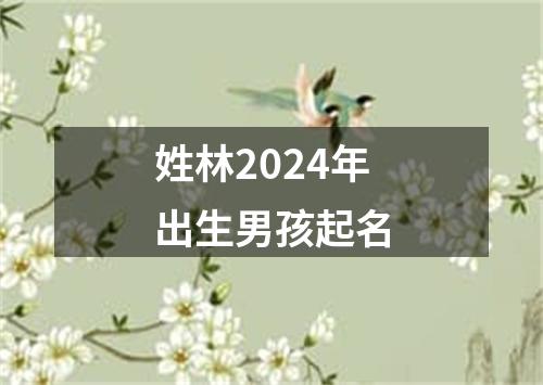 姓林2024年出生男孩起名