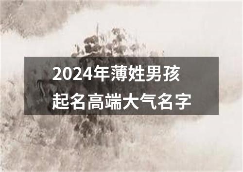 2024年薄姓男孩起名高端大气名字