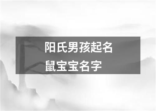 阳氏男孩起名鼠宝宝名字