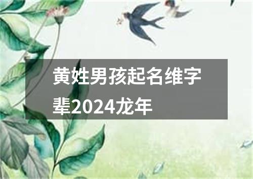 黄姓男孩起名维字辈2024龙年