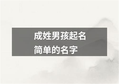 成姓男孩起名简单的名字