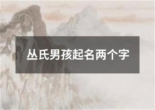 丛氏男孩起名两个字