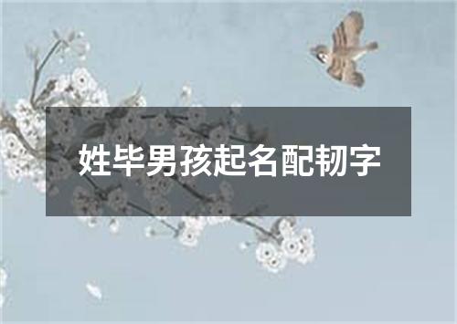 姓毕男孩起名配韧字