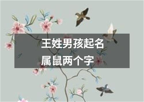 王姓男孩起名属鼠两个字