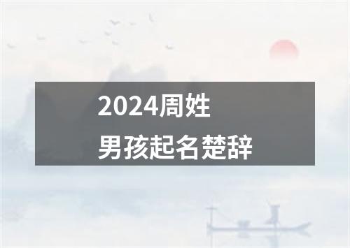 2024周姓男孩起名楚辞