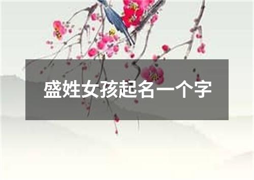 盛姓女孩起名一个字