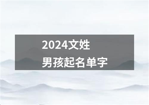 2024文姓男孩起名单字