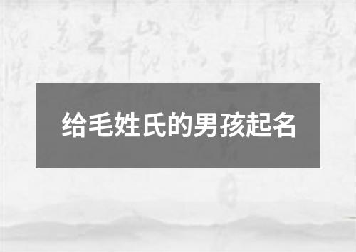 给毛姓氏的男孩起名