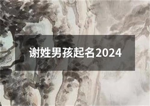 谢姓男孩起名2024