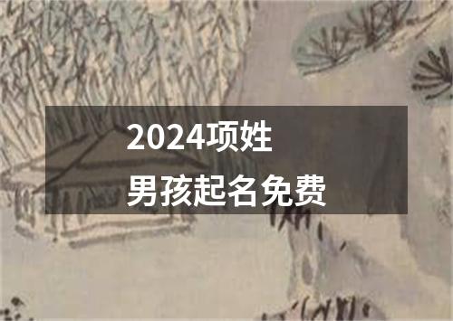 2024项姓男孩起名免费