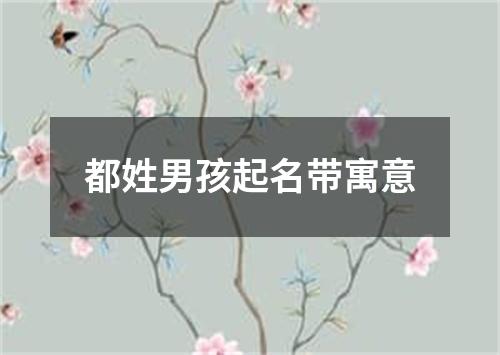 都姓男孩起名带寓意