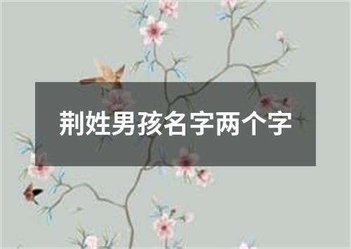 荆姓男孩名字两个字