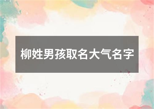 柳姓男孩取名大气名字