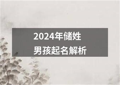 2024年储姓男孩起名解析