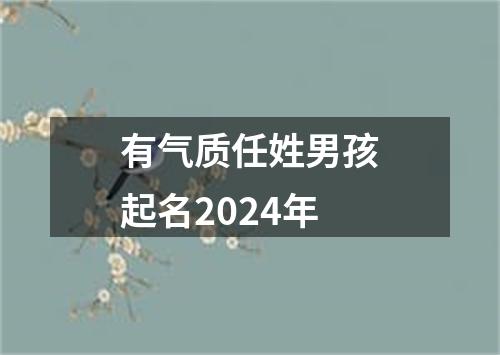 有气质任姓男孩起名2024年