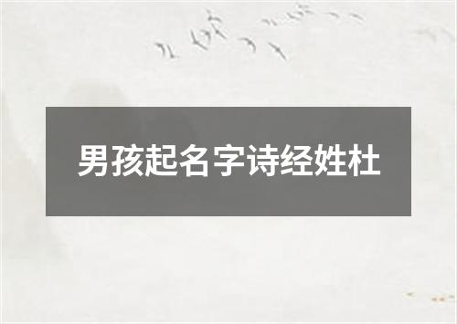 男孩起名字诗经姓杜