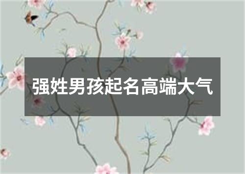 强姓男孩起名高端大气