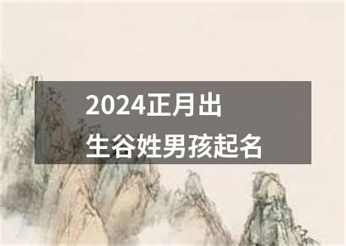 2024正月出生谷姓男孩起名