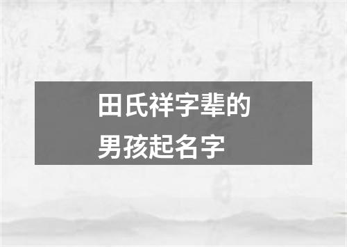 田氏祥字辈的男孩起名字