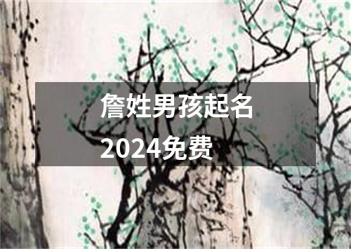 詹姓男孩起名2024免费