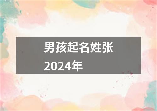 男孩起名姓张2024年