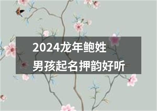 2024龙年鲍姓男孩起名押韵好听