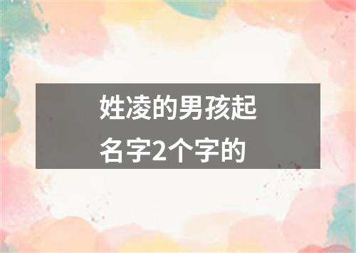 姓凌的男孩起名字2个字的