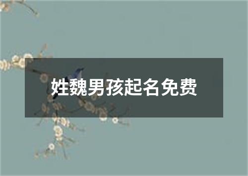 姓魏男孩起名免费