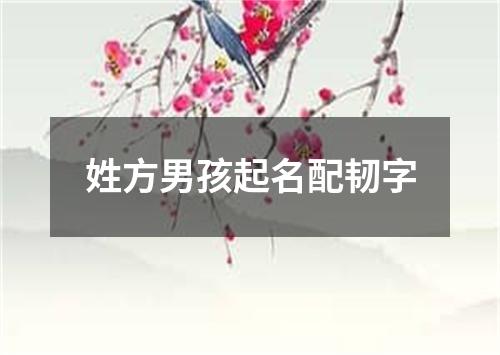 姓方男孩起名配韧字