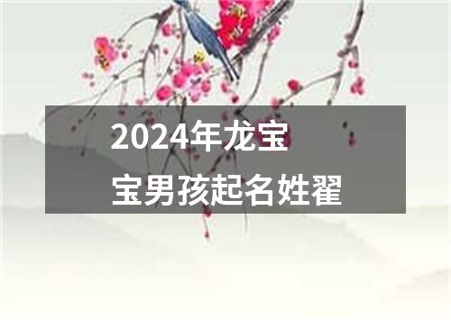 2024年龙宝宝男孩起名姓翟