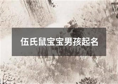 伍氏鼠宝宝男孩起名