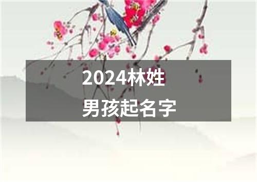 2024林姓男孩起名字