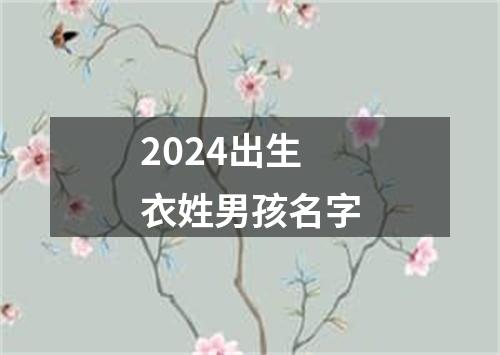 2024出生衣姓男孩名字