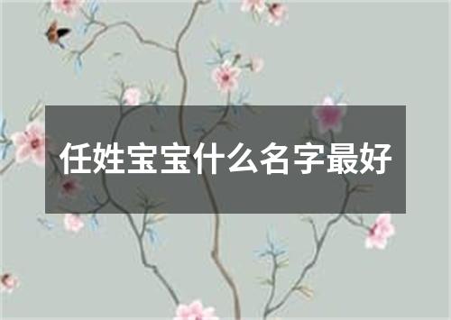 任姓宝宝什么名字最好