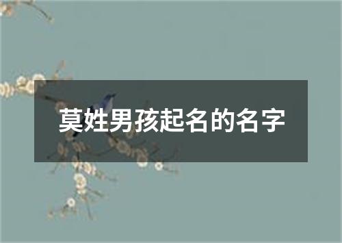 莫姓男孩起名的名字