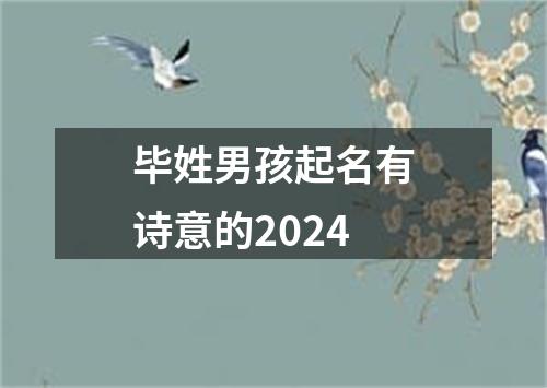 毕姓男孩起名有诗意的2024