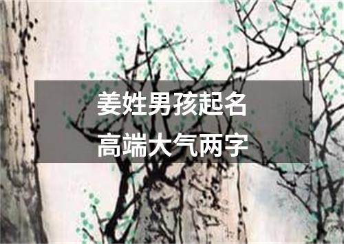 姜姓男孩起名高端大气两字