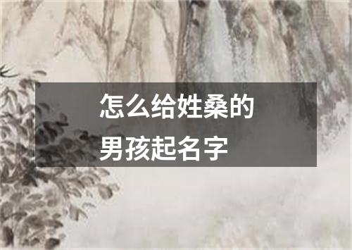 怎么给姓桑的男孩起名字