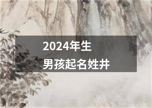 2024年生男孩起名姓井