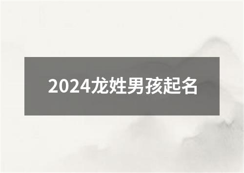 2024龙姓男孩起名